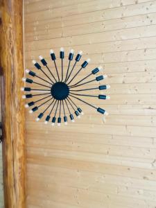 Spacieux logement Ax-les-thermes