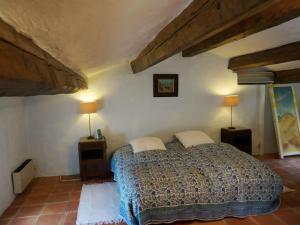Spacious holiday home in Draguignan with private pool