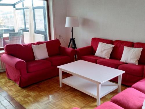 Spacious Holiday Home in Neukirchen with Forest Near