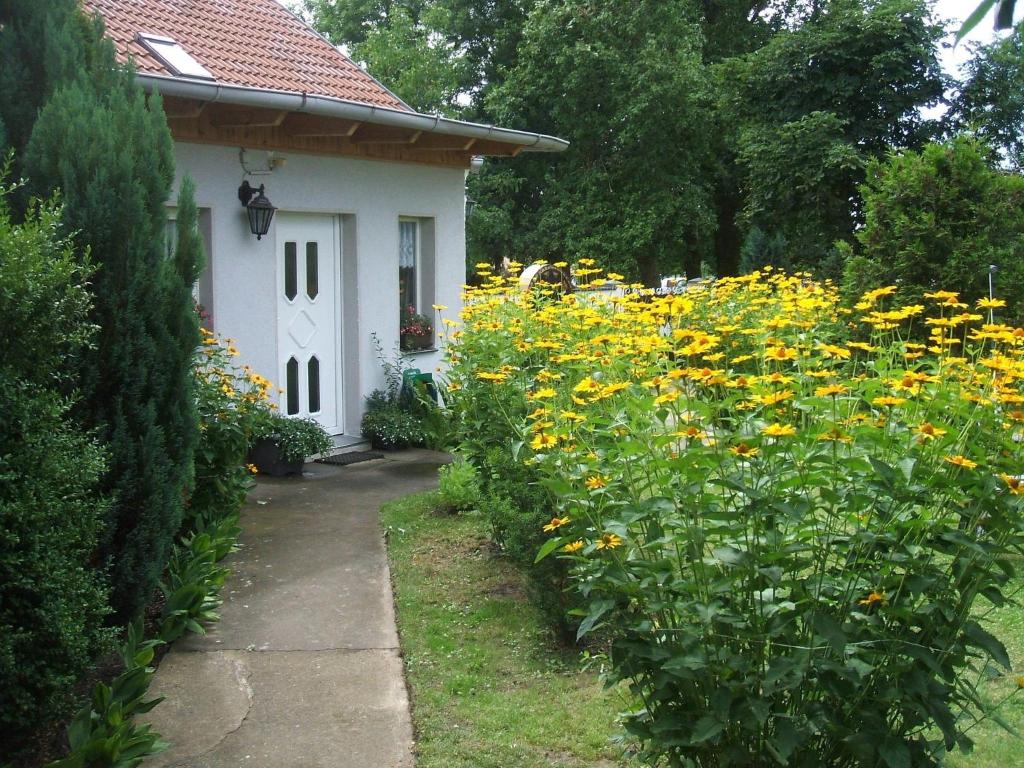 Maison de vacances Spacious Holiday Home in Sommerfeld near Lake  16766 Kremmen