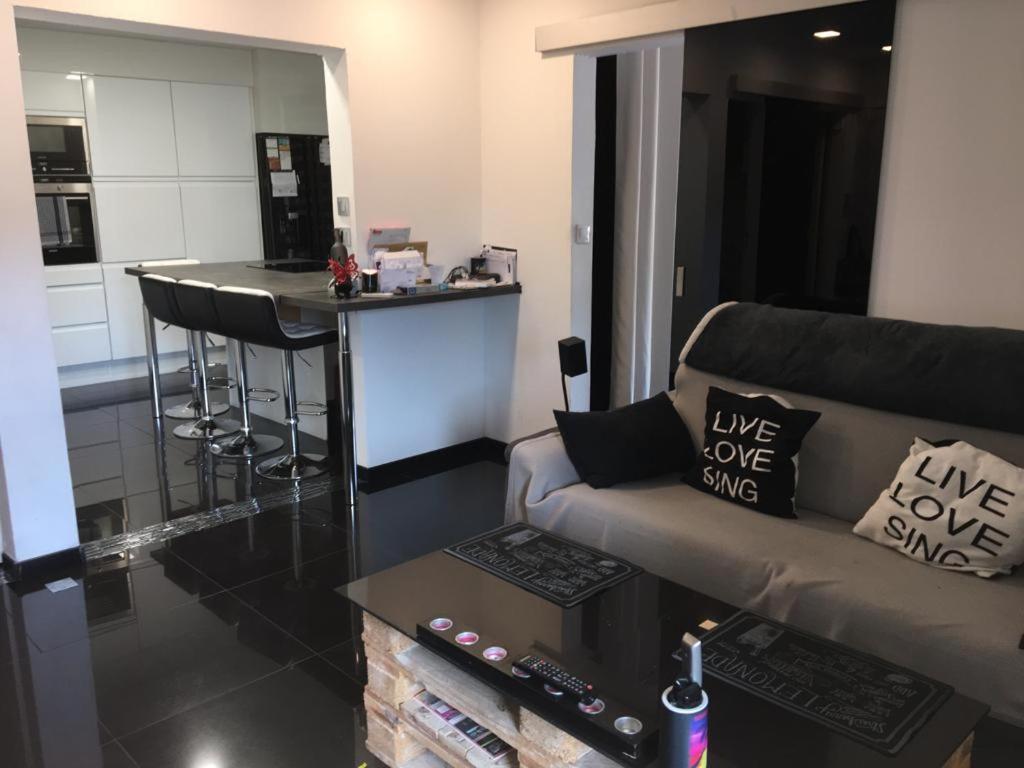 Spacious house with furnished terrace garage near the Lake 74940 Annecy