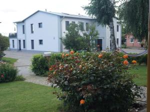 Spacious Sea View Mansion in Malchow