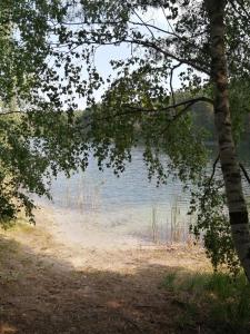 Spreewaldhäuser Golinski mit Kamin und umzäutem Grundstück am Neuendorfer See