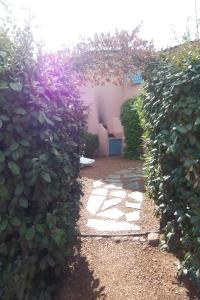 ST CYPRIEN D24