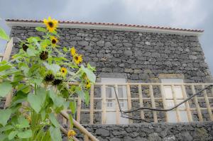 Maison de vacances Stone Dreams - Pedra da Atafona Ramal da Calheta 38A, Calheta de Nesquim 9930-056 Calheta de Nesquim Açores