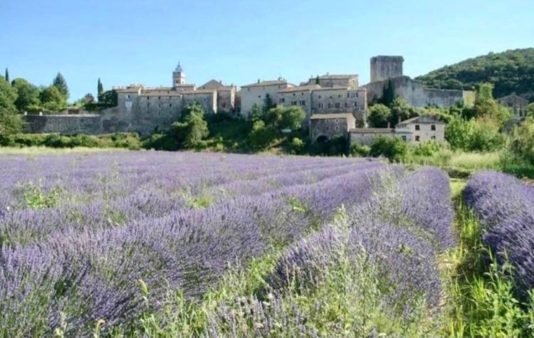 Maison de vacances Stone house in the medieval village of Montclus (Gard) 4 Chemin de maupas 30630 Montclus
