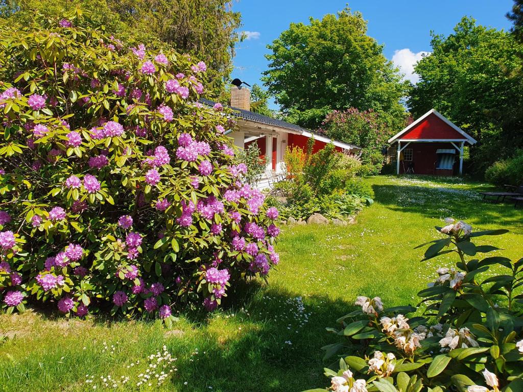 Maison de vacances Strand-Haus Op de Höh 23 24864 Brodersby