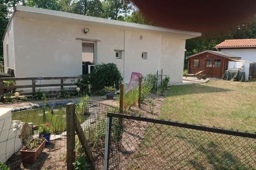 studio indépendant