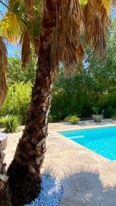 Maison de vacances studio indépendant dans villa avec piscine jacuzzi 97 Allée des Rouges-Gorges 83550 Vidauban Provence-Alpes-Côte d\'Azur