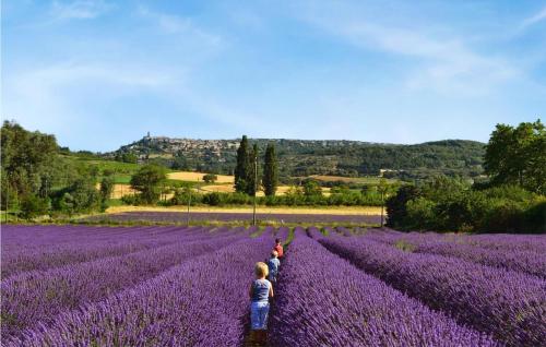Stunning home in Crillon-le-Brave with 5 Bedrooms, WiFi and Private swimming pool