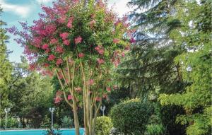 Stunning home in Eymet with 2 Bedrooms, WiFi and Outdoor swimming pool