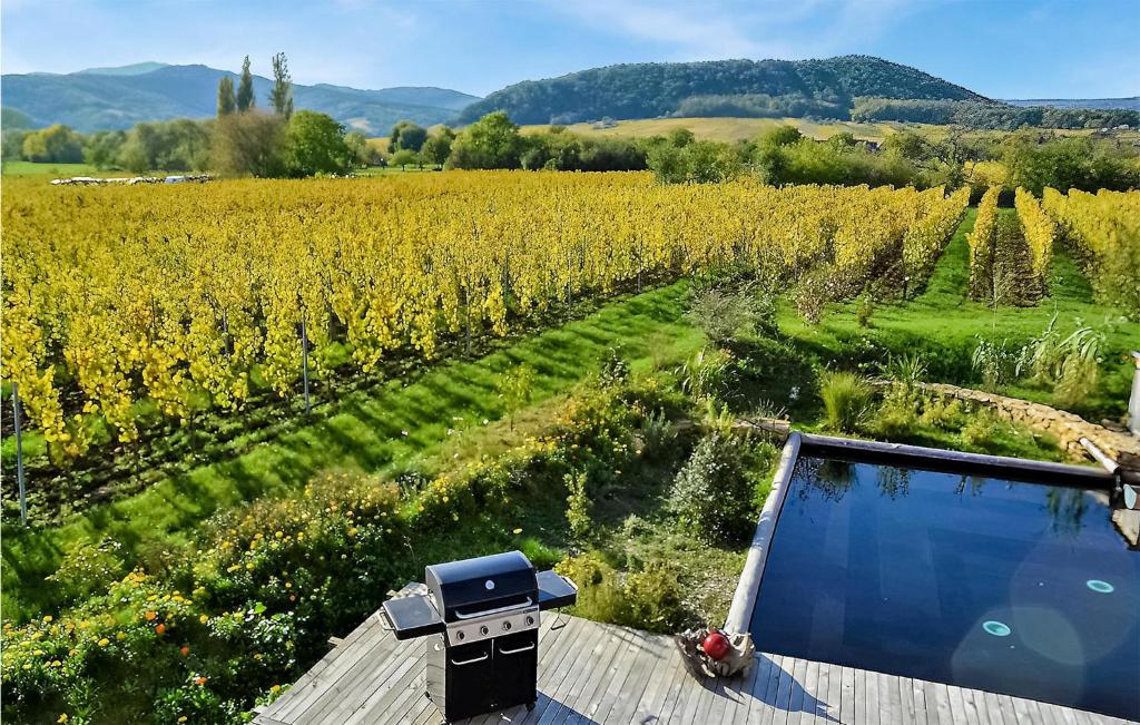 Maison de vacances Stunning home in Mittelbergheim with Outdoor swimming pool, Sauna and WiFi  67140 Mittelbergheim