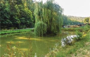 Stunning home in Schlitz-Rimbach with 2 Bedrooms