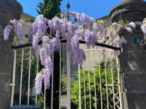 Maison de vacances Sunny Historic House in Canal du Midi Village with Pool near Beaches 2 Avenue de Nissan 34310 Poilhès Languedoc-Roussillon