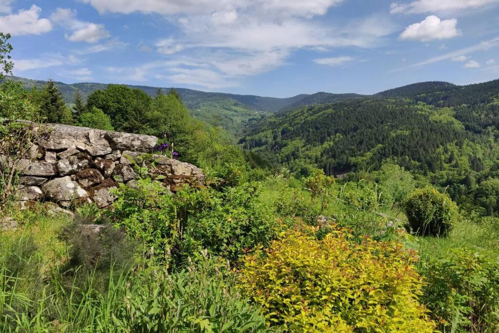 Maison de vacances Superbe gîte Laugy dans les montagnes d'Ambert Louville 63600 Valcivières