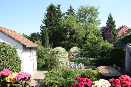 Superbe maison avec jardin magnifique!
