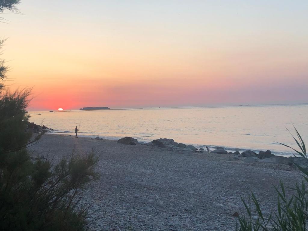 Maison de vacances Sur le chemin de la plage Rue du Becquet de Haut 210 50110 Cherbourg-en-Cotentin