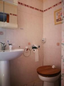 T1 dans jolie maisonnette