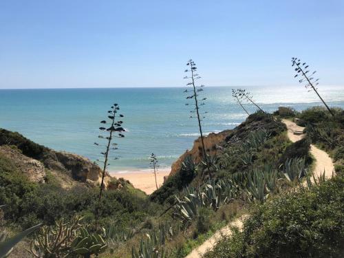 T3 Holiday Cottage near the beach | C225