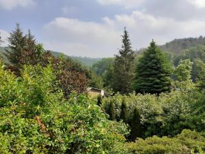 Maison de vacances Talblick 2 - Ihr Zuhause : das Ferienhaus mitten im idyllischen Tal Thalwinkeler Straße 49 06647 Bad Bibra Saxe-Anhalt