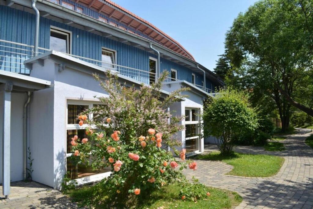 Maison de vacances Terraced house im Hasseröder Ferienpark, Wernigerode  38855 Wernigerode