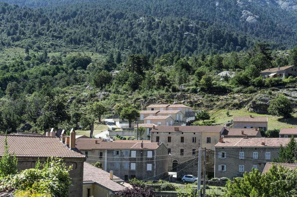 Maison de vacances Terrasse de Malbeccu Quartier Alades 20224 Casamaccioli