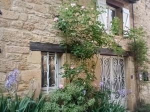 Maison de vacances TERRE d'HISTOIRE - Baignade, canoë, piste cyclable à proximité Le Tournepique 24250 Castelnaud-la-Chapelle Aquitaine