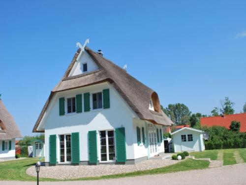 Thatched Holiday Home in Rerik with Terrace