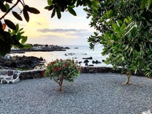 Maison de vacances The Boathouse: An Oceanfront Cottage Rua do Porto 9940-038 Canto da Areia Açores