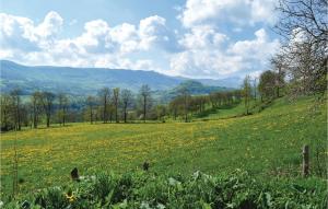 Maison de vacances Three-Bedroom Holiday Home in Cheylade  15400 Cheylade Auvergne