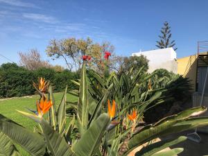 Three Bedroom Villa with pool near Olhao