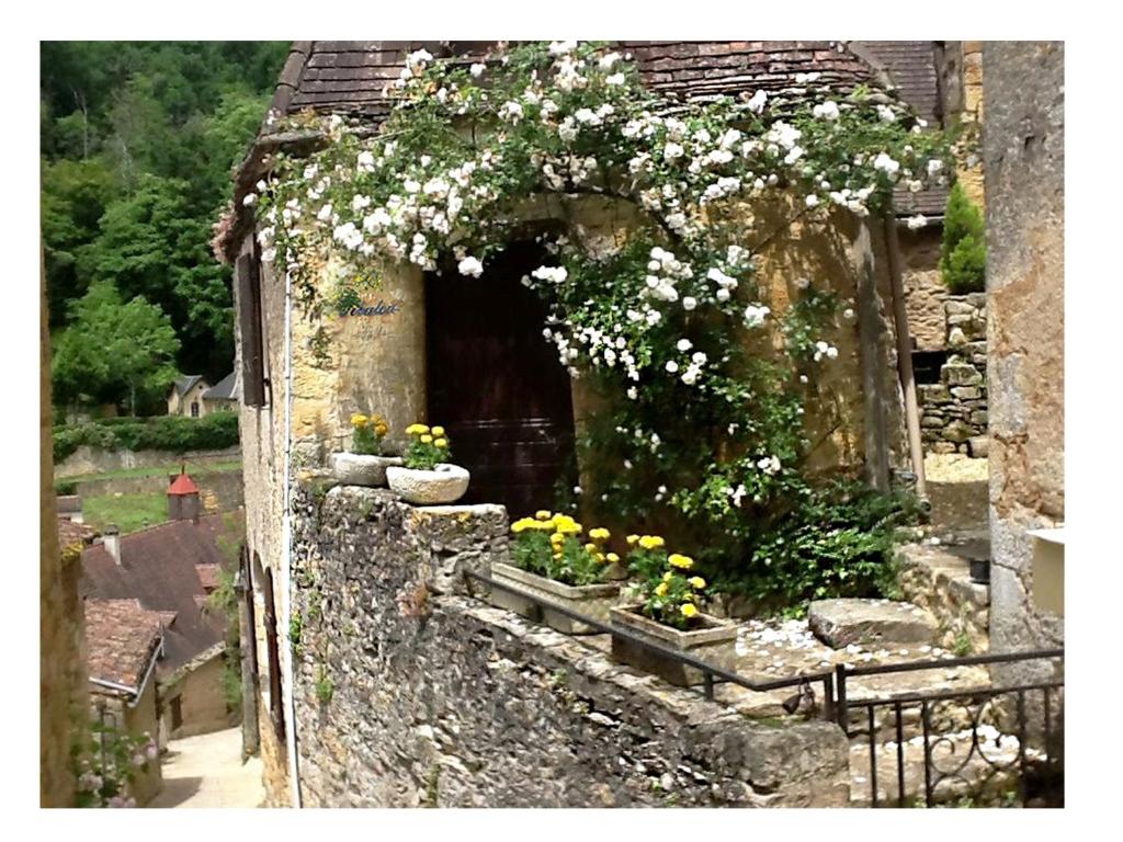 Maison de vacances Tibalou in Beynac, offers a breathtaking view over river Dordogne 11 rue Tibal Lo Garrel 24220 Beynac-et-Cazenac