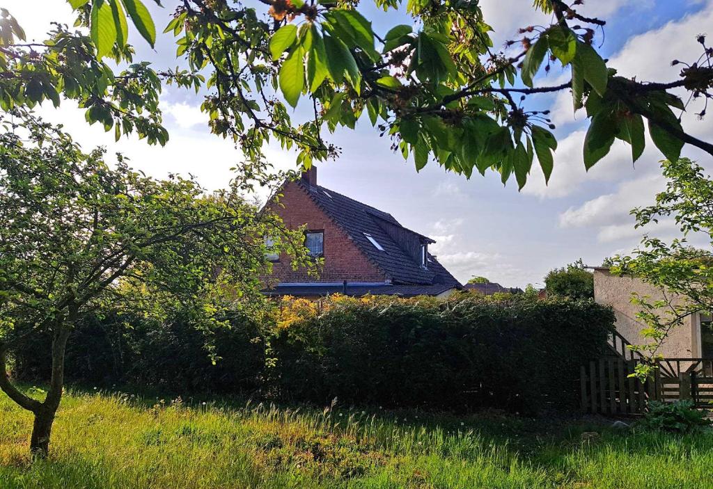 tierfreundliches Ferienhaus Mirow Retzower Straße 11, 17252 Mirow