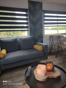 Tiny House en campagne