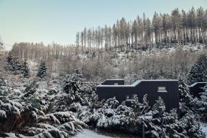 Maison de vacances Tiny House Nature 12 - Green Tiny Village Harz An der Mühlwiese 6 37520 Osterode Basse-Saxe