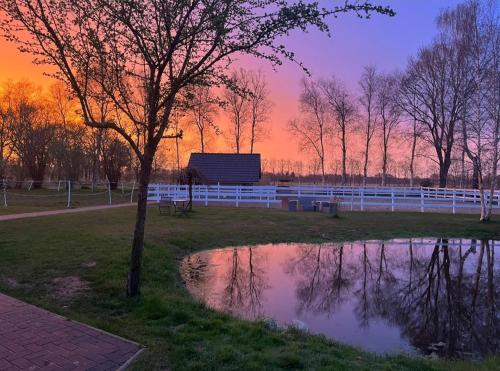 Tiny House Südliches Friesland-FRI Natur erleben