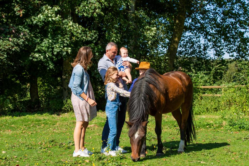 Tomates cerises à la ferme de Sorval 14, Rue de Sorval, 59127 Selvigny