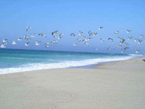 Torreira Vacation Homes - Sea House
