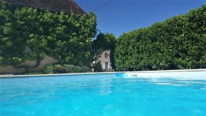 Tourterelle, à proximité de Auxerre et Chablis