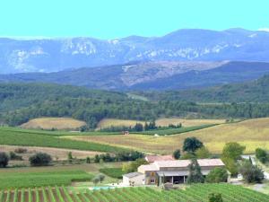 Maison de vacances Traditional holiday on wine estate with private pool in South France  11190 La Serpent Languedoc-Roussillon