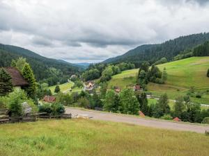 Maison de vacances Tranquil Holiday Home in Reinerzau with Terrace and Garden  72275 Alpirsbach Bade-Wurtemberg