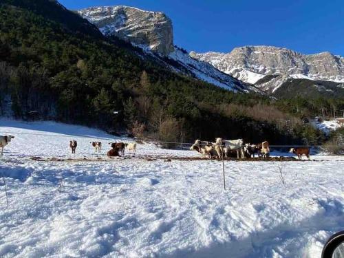 Très Grand Gîte équipé à la montagne