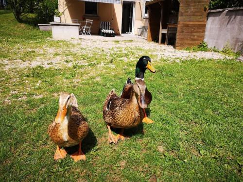 Triplex dans un petit village au bord de l'ognon.