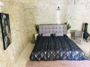 Troglodyte Le Nougat proche du zoo de Beauval