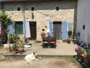 Twin Emperor Tent in Le Vieux Cerier Charente