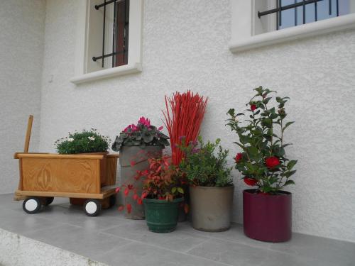 Un bouquet de Tangissart