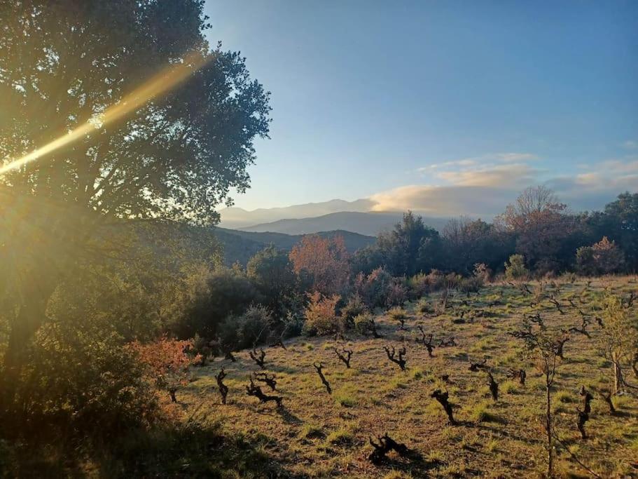 Maison de vacances Un petit oasis en plein centre de Céret. 45 45 Rue Pierre Brune 66400 Céret