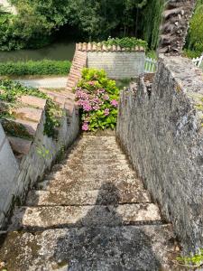 Maison de vacances Une maraîchine en bord de conche avec barque sans linge de maison 57 Rue de la Garenne 79210 Arçais Deux-Sèvres