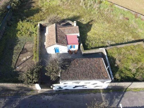 Vacas Felizes Villas - Casa da Bilha
