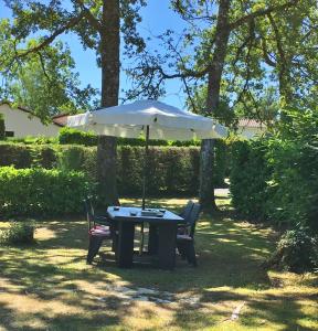 Vakantie Woning Le Chat Maison 175